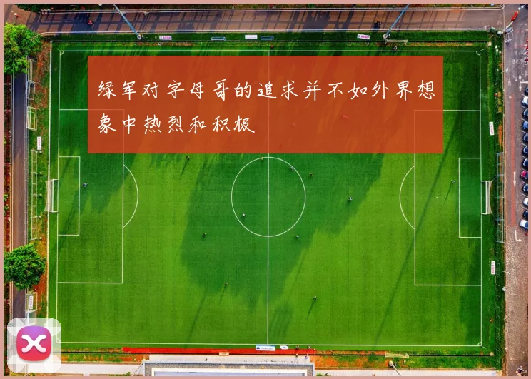 绿军对字母哥的追求并不如外界想象中热烈和积极